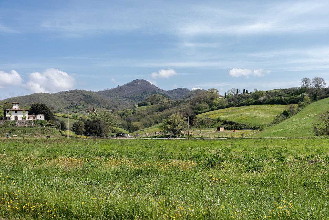Farmhouse 'Agriturismo Il Ponte - Frantoio' with Mountain View, Private Garden and Wi-Fi in Vicchio, Provinsen Firenze