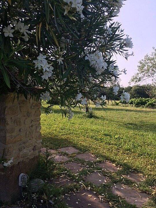 Gîte pour 4 personnes, avec piscine ainsi que jardin et terrasse à Caromb - 2