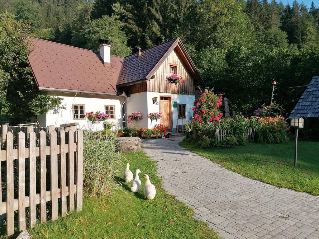 Ganze Wohnung, Ferienhaus Lenzau - Ferienhaus bis 8 Personen in Göstling an der Ybbs, Mostviertel Region