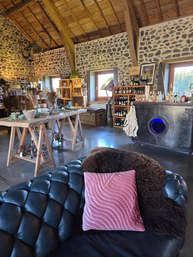 Hôtel pour 5 personnes, avec jardin et vue, animaux acceptés à Saint-Pierre-le-Chastel - 4