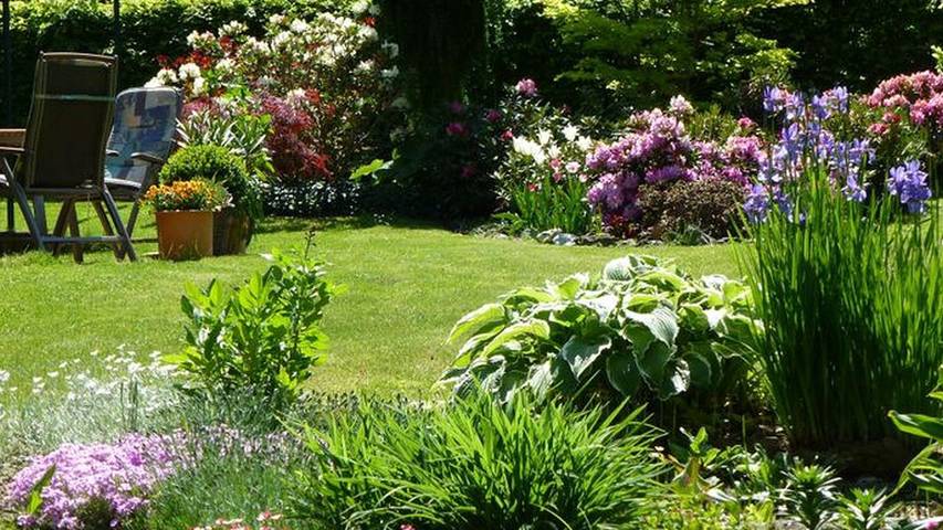 Ferienwohnung für 5 Personen, mit Terrasse in Gohrisch - 2