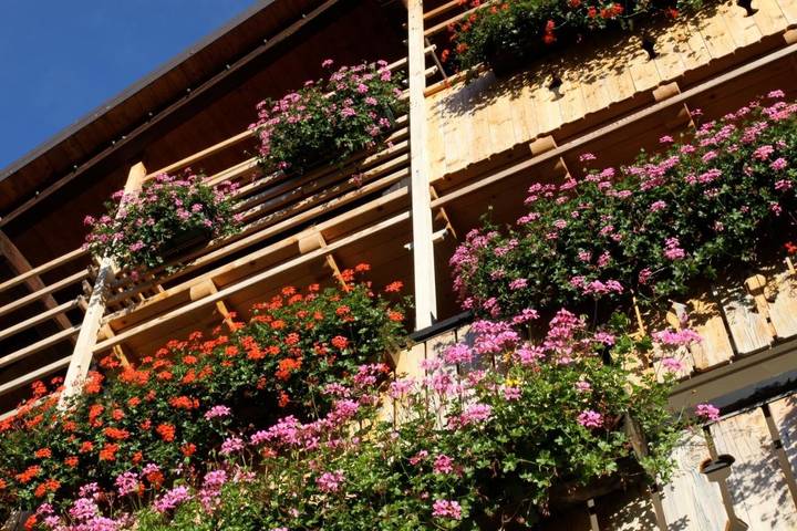 Hôtel pour 3 personnes, avec sauna ainsi que balcon et jacuzzi à Forni di Sopra - 4
