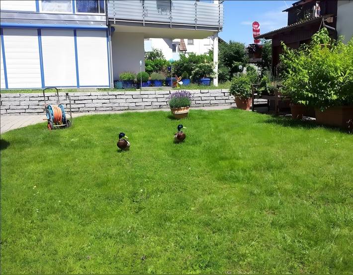Ferienwohnung für 4 Personen in Langenargen - 3