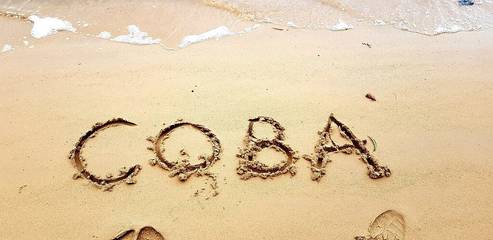 Cottage for 2 People in Sydney, New South Wales, Photo 4