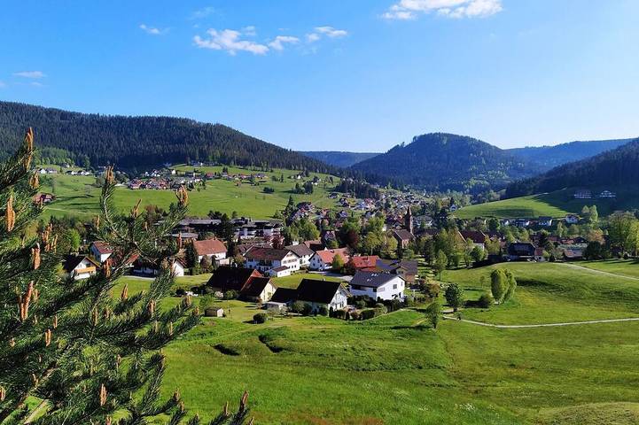 Ferienwohnung für 4 Personen, mit Terrasse und Sauna sowie Garten - 1