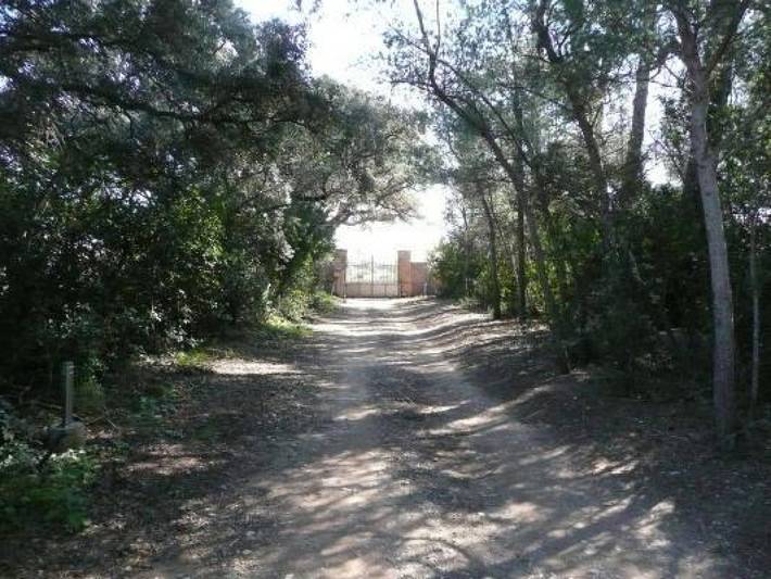 Gîte pour 5 personnes, avec terrasse et piscine, animaux acceptés à Frontignan - 4