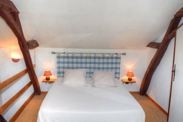 Gîte pour 3 personnes, avec jardin à Cheillé - 4