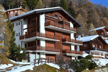 Gîte pour 4 personnes, animaux acceptés dans Chandolin