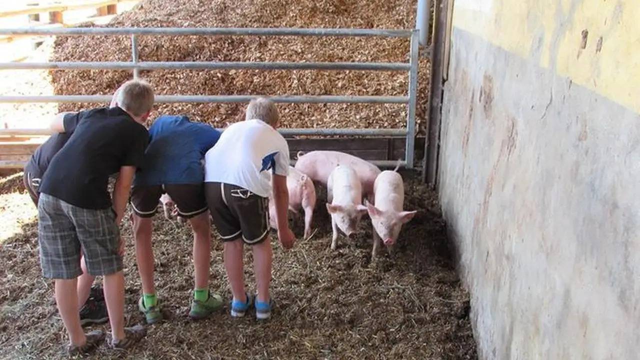 Ganze Ferienwohnung, Ferienwohnung für 4 Personen (80 m²) in Dürnstein in der Steiermark in Neumarkt in Steiermark, Mittelkärnten