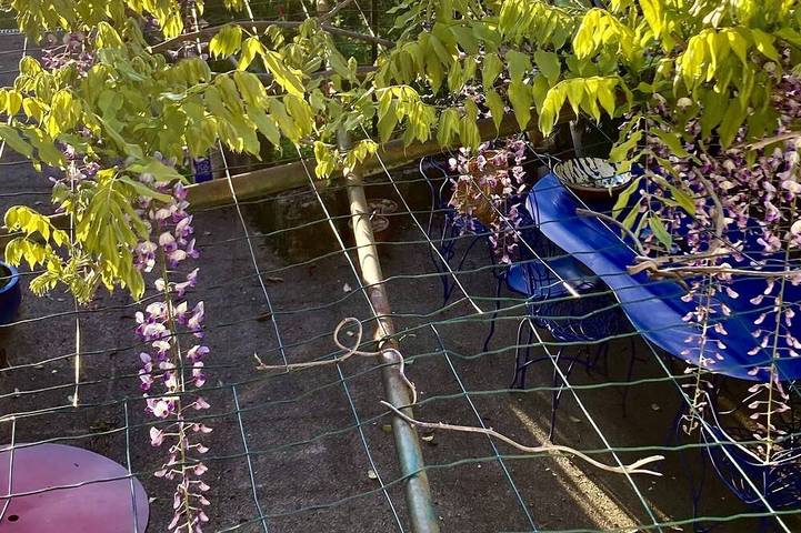 Location de vacances pour 5 personnes, avec jardin à Aigues-Vives - 4