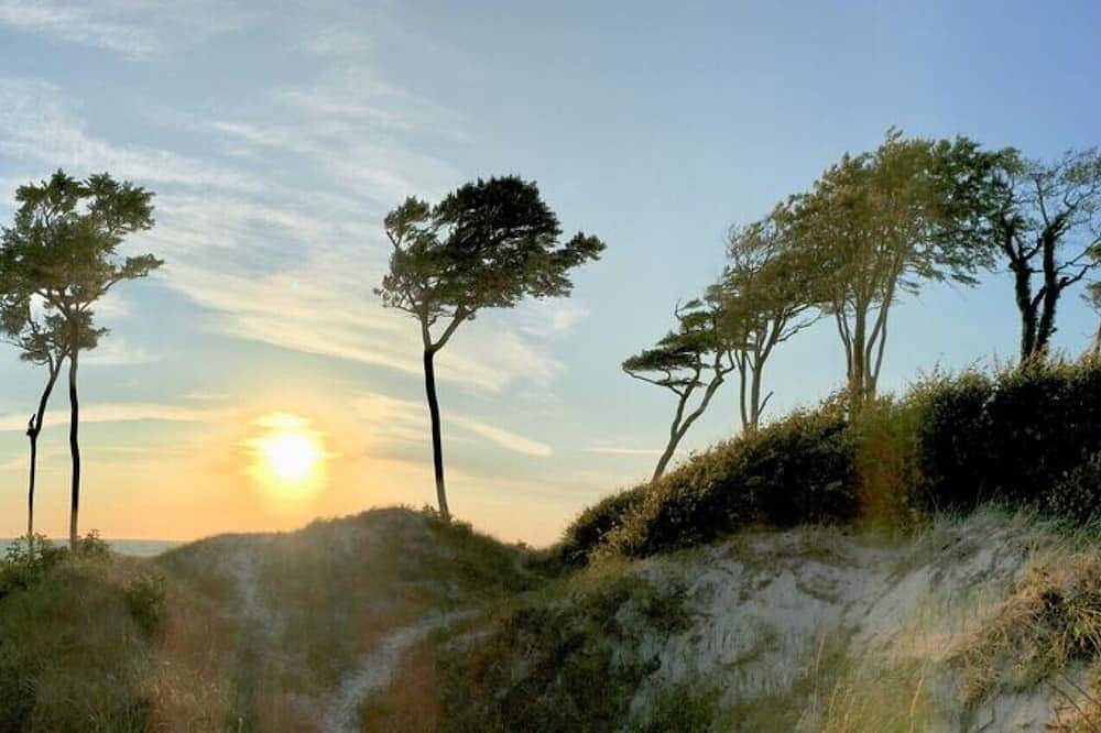 Ganze Wohnung, Gemütliche Ferienwohnung mit Lehmputzen, waldnahes ruhiges Grundstück in Prerow, Fischland - Darß - Zingst