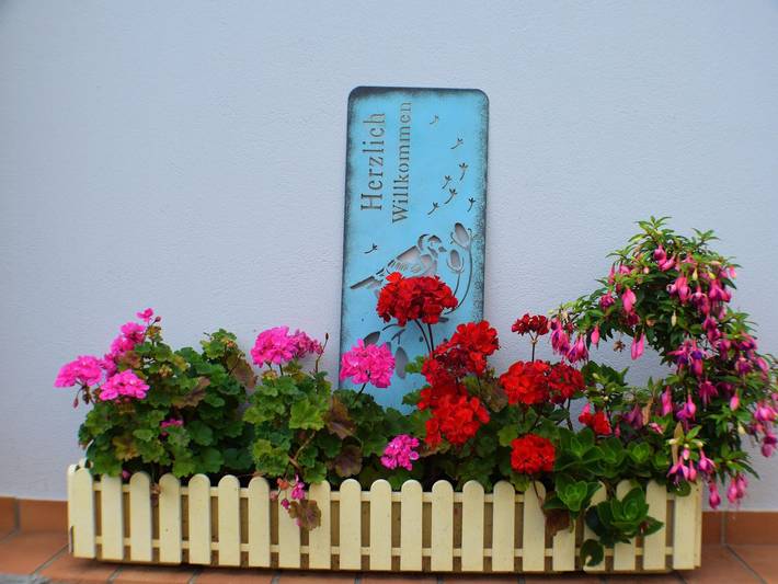 Ferienwohnung für 2 Personen, mit Terrasse in Bernkastel-Kues - 3