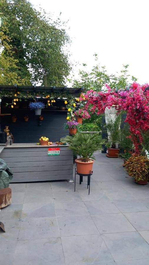 Ganze Ferienwohnung, Cozy room with a beautiful garden view in Baunatal, Hessisches Bergland