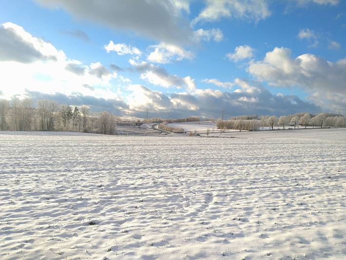 Ferienhaus für 6 Personen, mit Terrasse und Garten, mit Haustier - 1