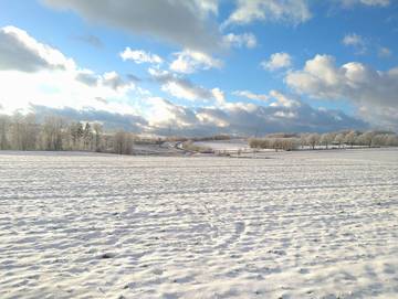 Ferienhaus für 6 Personen, mit Terrasse und Garten, mit Haustier in Bad Lauterberg