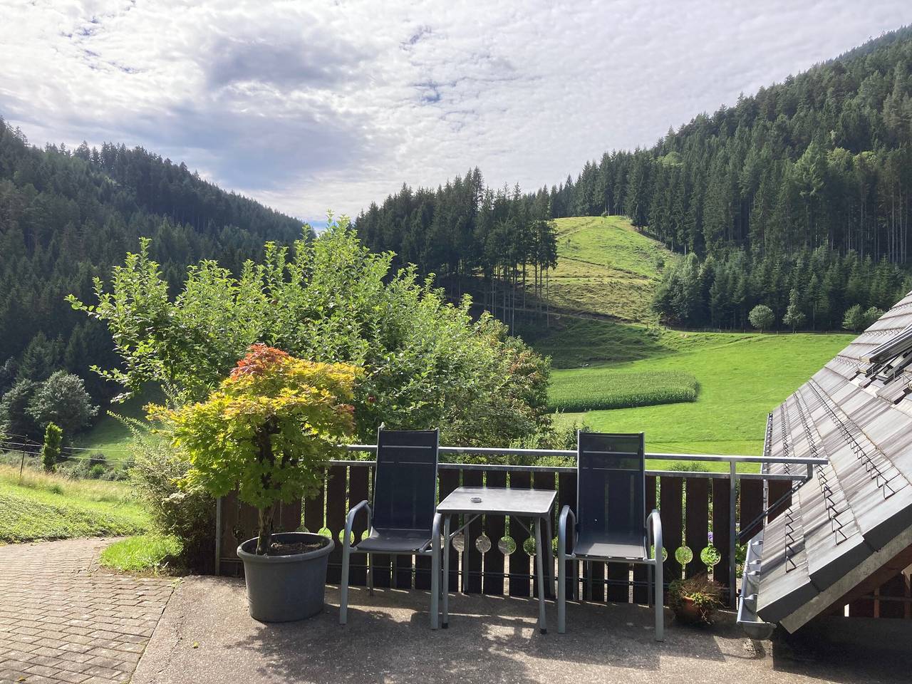 Ganze Wohnung, Apartment 'Naturhäusle, 45qm' mit Bergblick, Balkon und Wlan in Hornberg, Mittlerer Schwarzwald