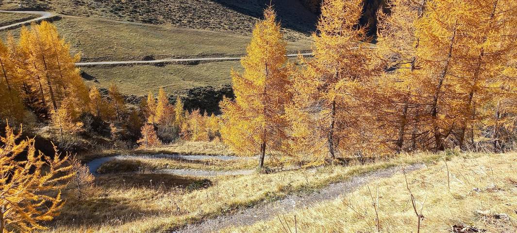 Ferienwohnung für 2 Personen, mit Balkon im Stubaital - 3