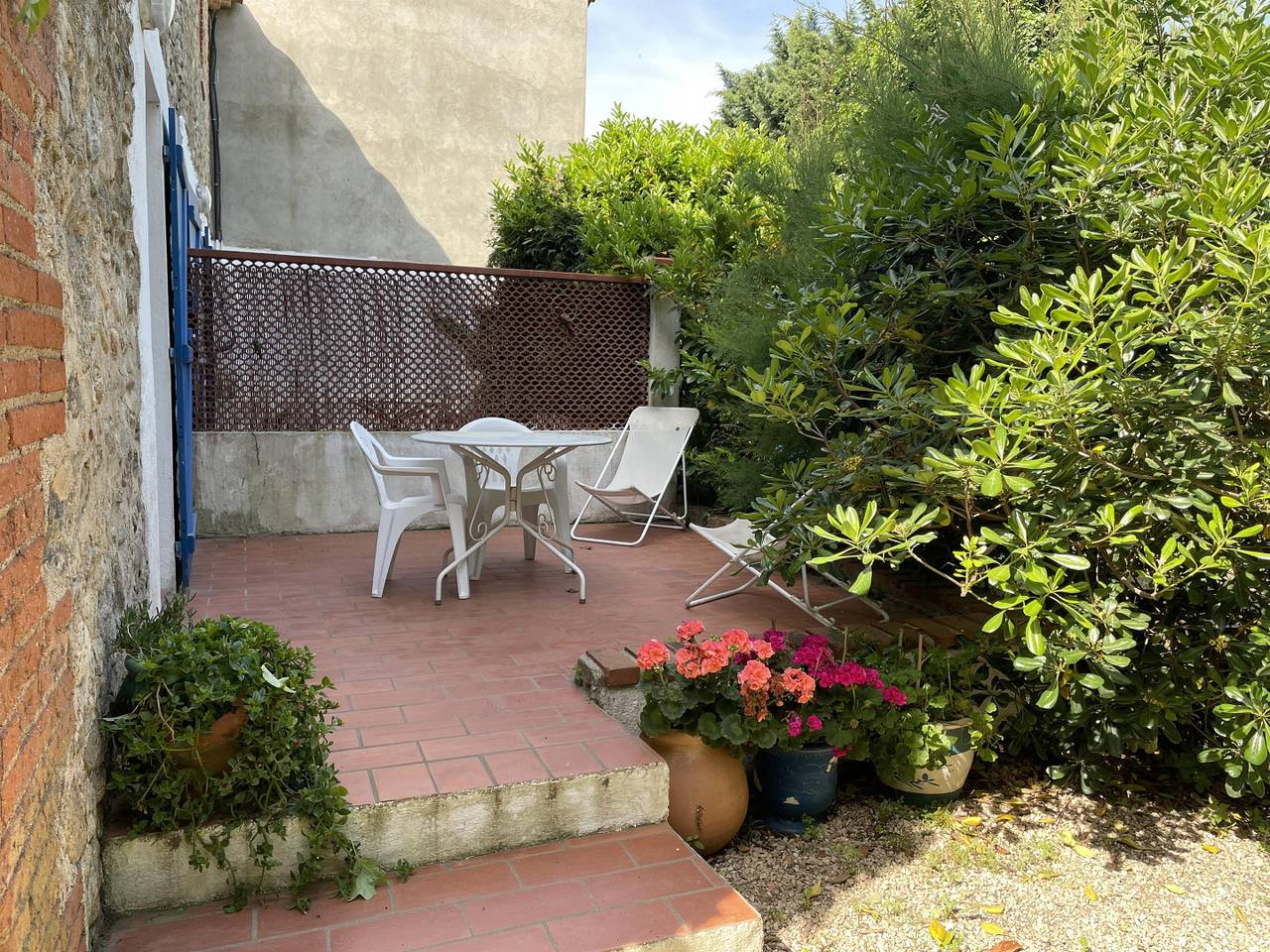 Le thym in Côte Vermeille, Argelès-sur-Mer