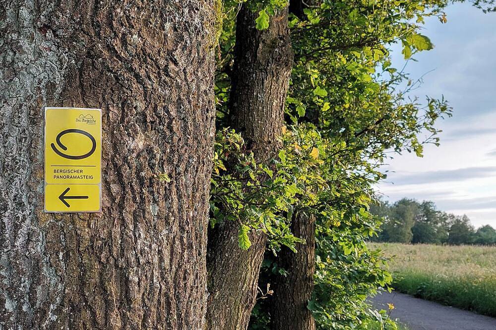 Ganze Wohnung, Ferienwohnung Waldbröl - nahe Naturerlebnispark🌲 in Waldbröl, Oberbergischer Kreis
