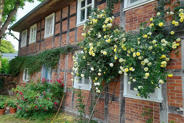 Ganze Wohnung, Ferienwohnung hinterm Elbdeich in Wahrenberg, Aland