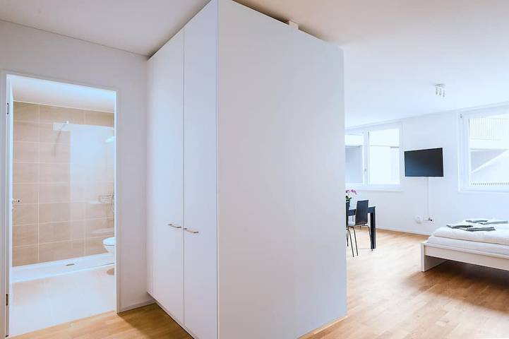 Entire apartment, Bs Lynx I - Fair Hitrental Apartment in Basel Zustellkreis, Basel