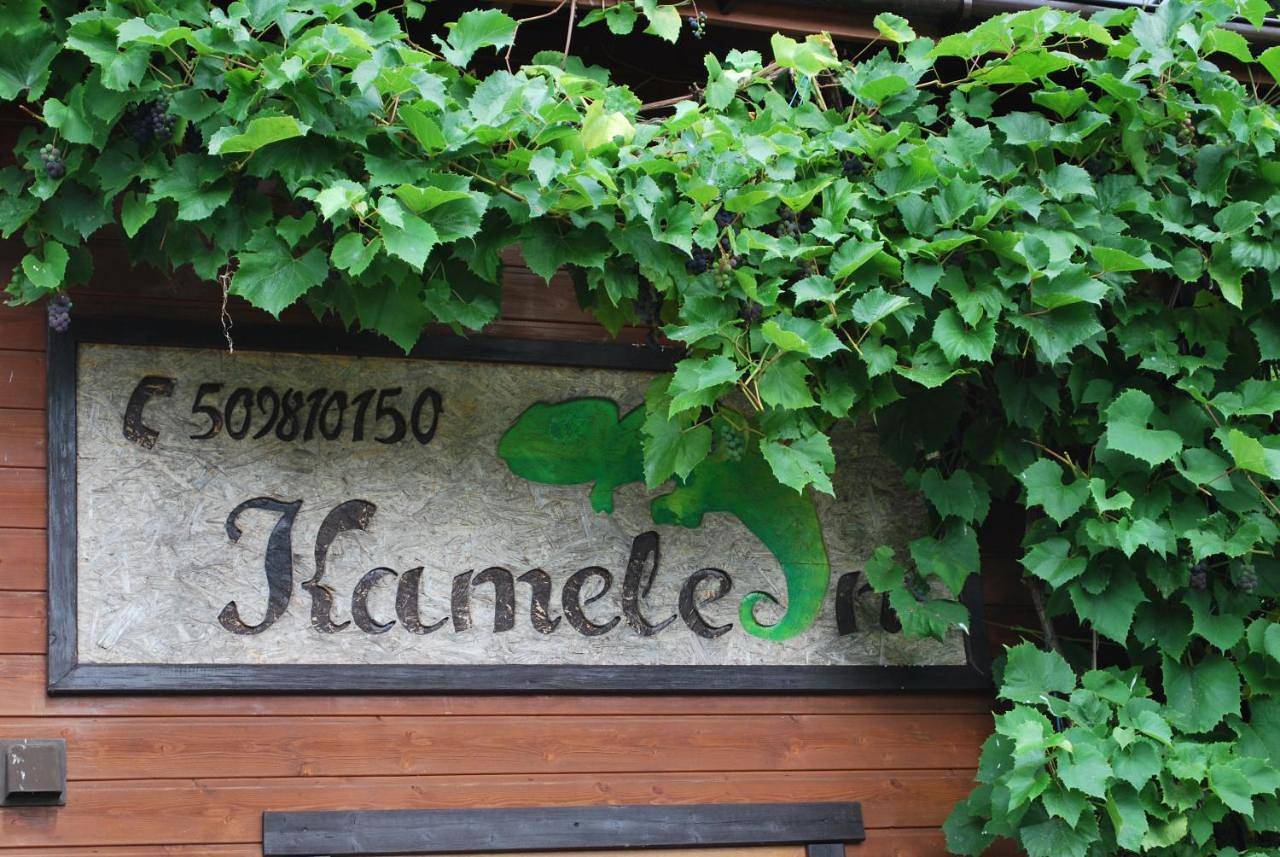 Kameleon Dźwirzyno in Dźwirzyno, Baltic Sea Pomerania
