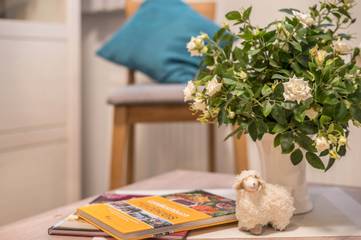 Studio für 2 Personen in Soltau, Landkreis Heidekreis, Bild 3