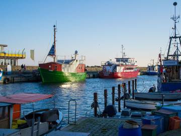 Ferienwohnung für 6 Personen, mit Terrasse, kinderfreundlich in Lobbe