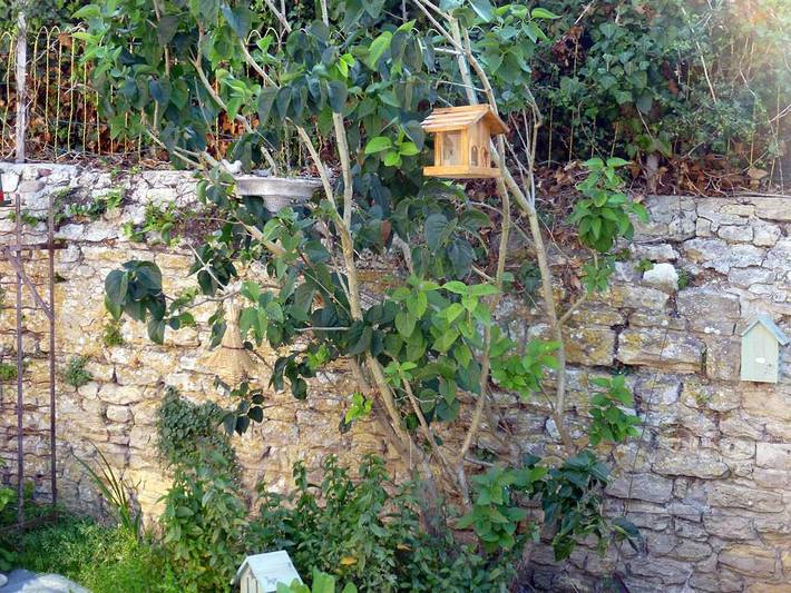 Chambre d’hôte pour 4 personnes, avec jardin dans le Calvados - 3