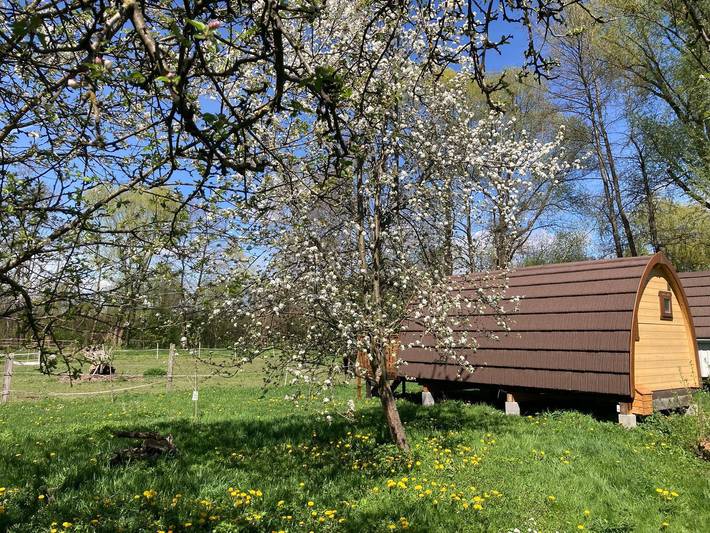 Ferienhaus für 3 Personen, mit Balkon und Garten in der Steiermark - 2