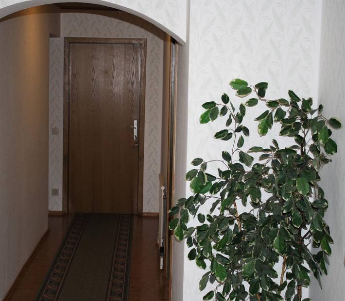 Ferienwohnung für 4 Personen, mit Balkon und Ausblick am Traunsee - 2