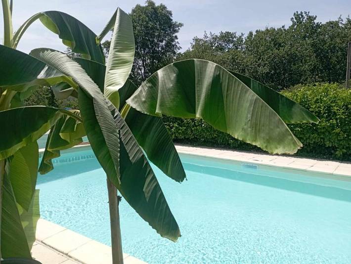 Ferienhaus für 4 Personen, mit Terrasse und Whirlpool sowie Garten und Pool
