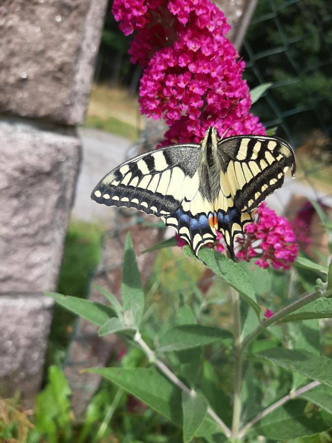 Gîte pour 10 personnes, avec vue ainsi que terrasse et jardin dans Combressol