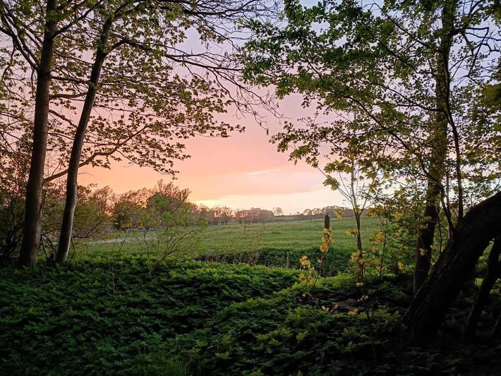Ferienwohnung für 4 Personen, mit Garten und Sauna sowie Ausblick in Behren-Lübchin