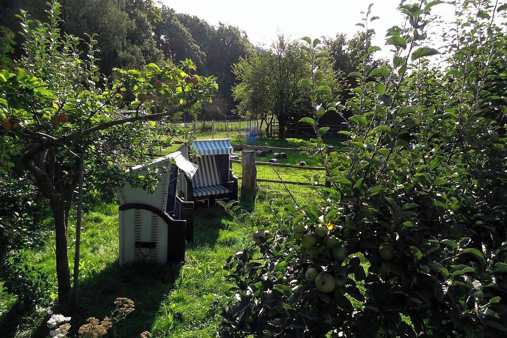 Großzügiges, naturnahes, Gruppen- und Seminarhaus, Hunde willkommen in Bad Zwesten, Schwalm-Eder-Kreis