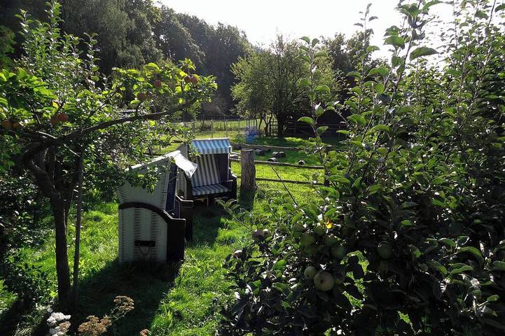 Ferienhaus für 30 Personen, mit Garten und Balkon, mit Haustier in Bad Zwesten - 2