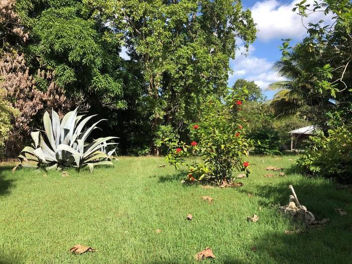 Chambre d’hôte pour 2 personnes, avec jardin et terrasse, animaux acceptés à Le Moule - 4