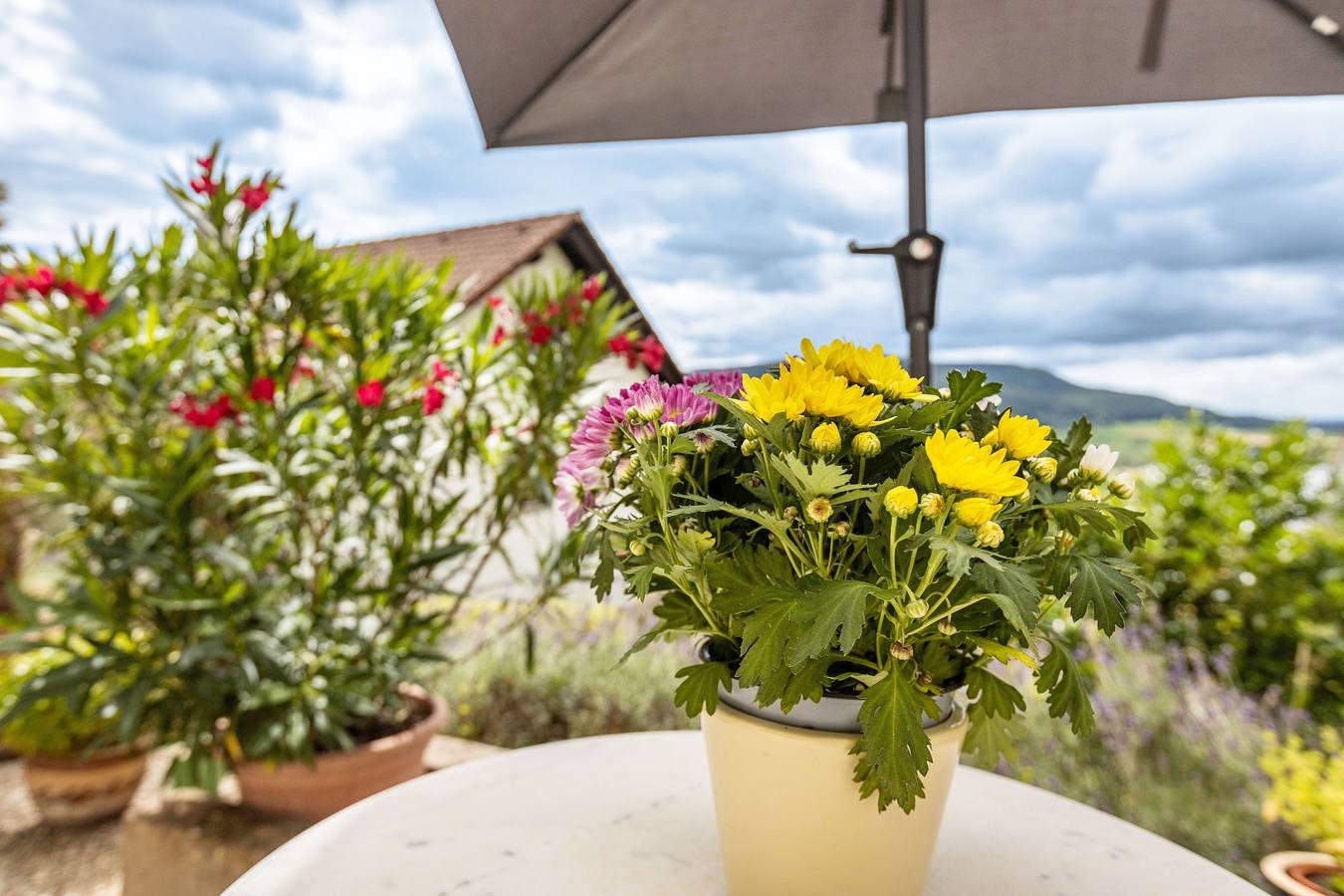 Ganze Wohnung, Apartment 'Rieth' mit Bergblick, privater Terrasse und Wlan in Dürbheim, Albsteig Etappe 15