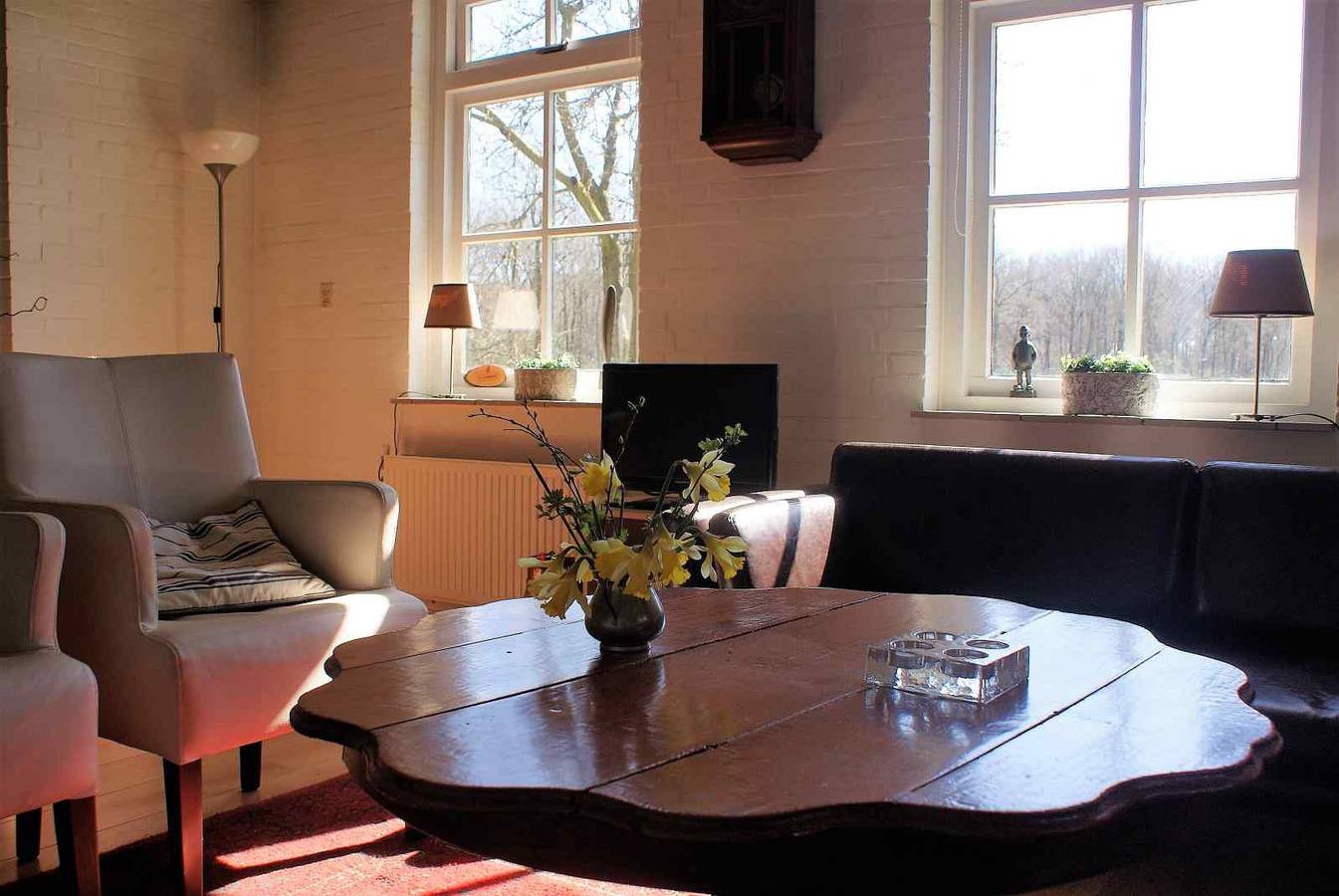 Ruhig gelegenes 6-Personen-Ferienhaus, umgeben von Wiesen in Zuidwolde, Drenthe in Zuidwolde, Drenthe