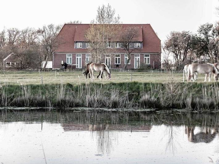 Ferienwohnung für 4 Personen, mit Terrasse und Garten in Vollerwiek - 2