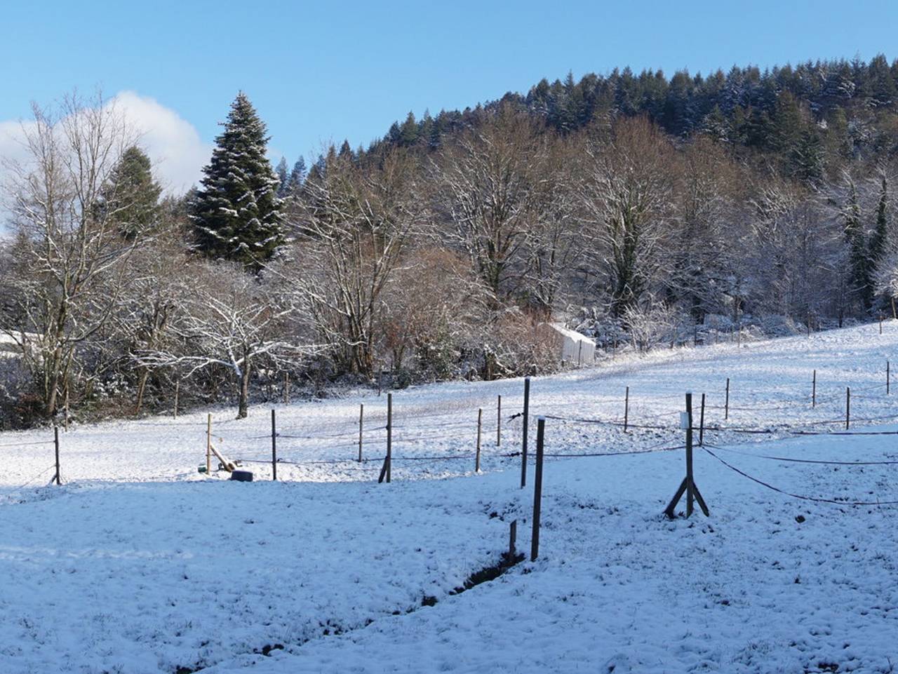 Ganze Ferienwohnung, Ferienhaus am Gunzenbach - Ferienhaus in Baden-Baden, Nordschwarzwald