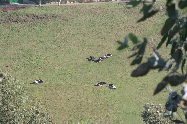 Casa rural para 5 personas, con jardín y vistas en Villaviciosa  - 4