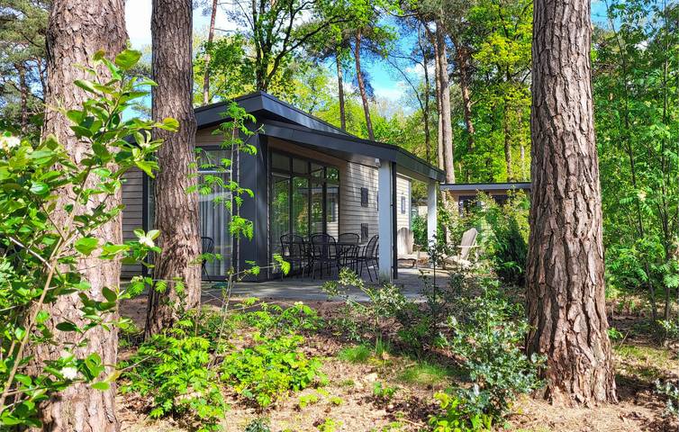 Camping für 6 Personen, mit Terrasse und Garten in Overijssel