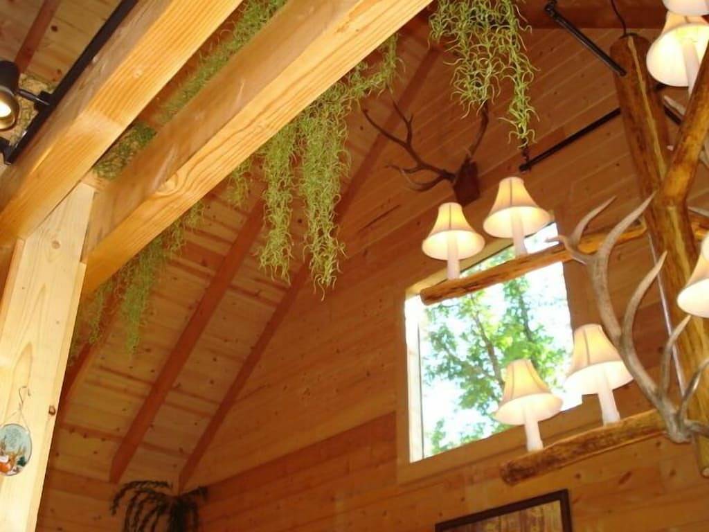 Branson Missouri Luxury Log Cabin auf Quiet Pine Ridge Wald oberhalb des Sees, Jacuuzi in Table Rock Lake