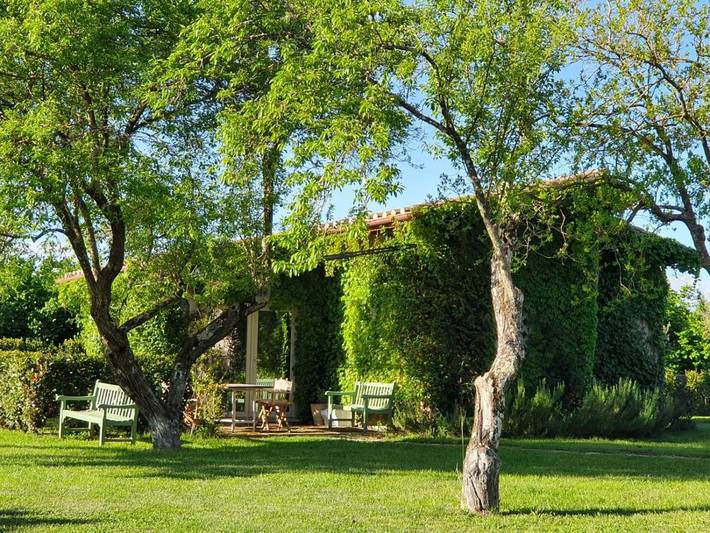 Gîte pour 2 personnes, avec piscine ainsi que jardin et vue à Vignanello - 2