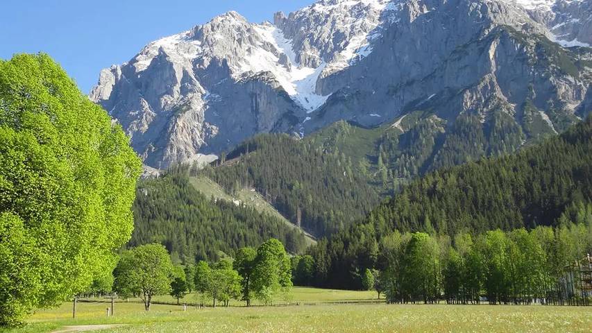 Bauernhof für 2 Personen, mit Garten in Österreich - 3