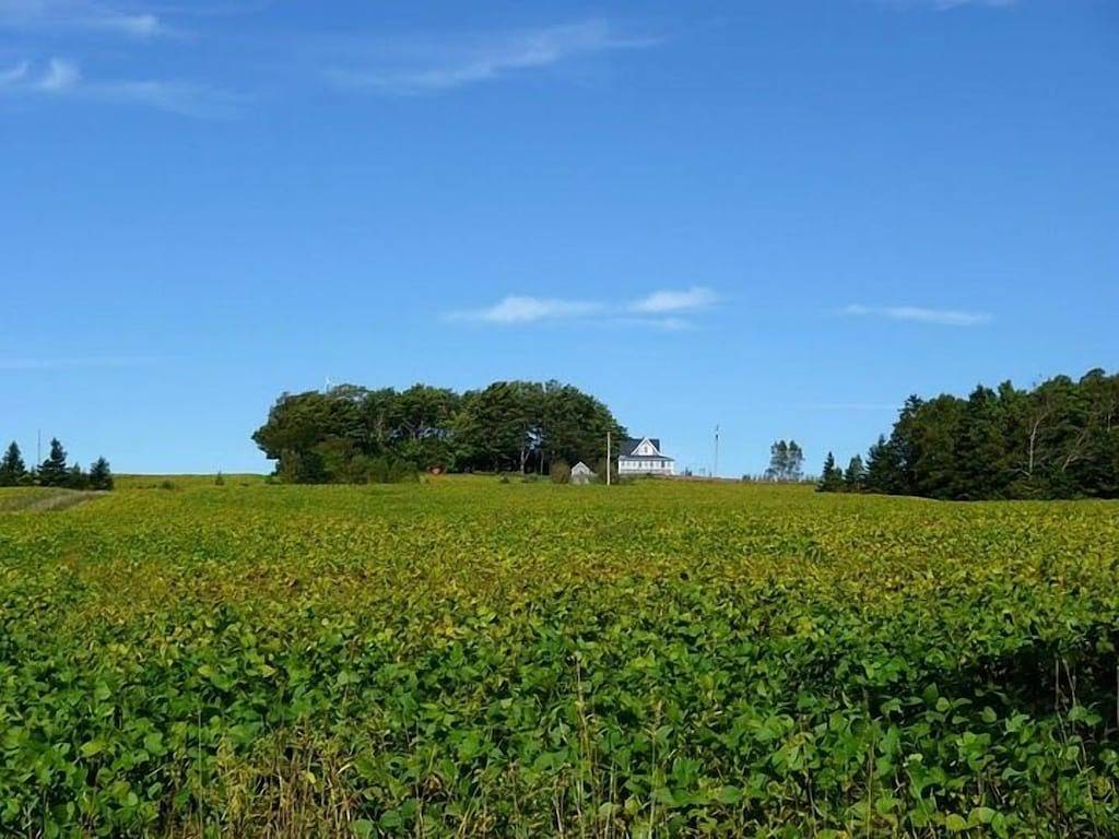 Großes, jahrhundertealtes Haus mit Bio-Weinberg. Sehr privat mit grandioser Aussicht. in Kings County (Kanada)