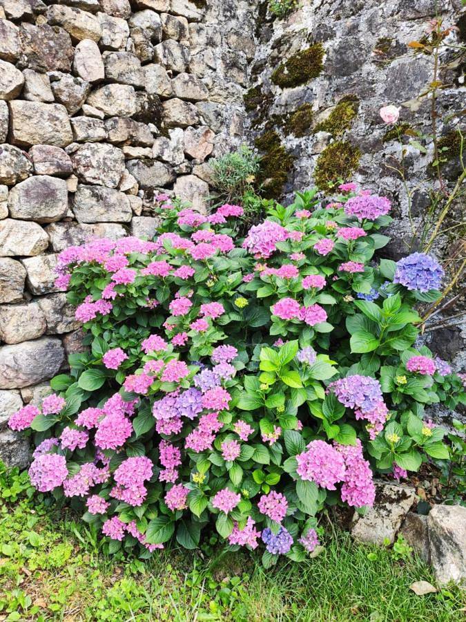 Location de vacances pour 7 personnes, avec vue et jardin à Vocance - 3