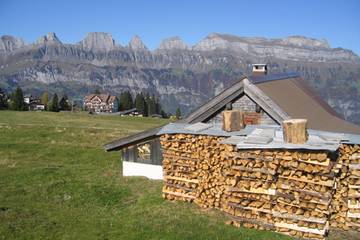 Hütte für 9 Personen in Flums, Kanton St. Gallen, Bild 1