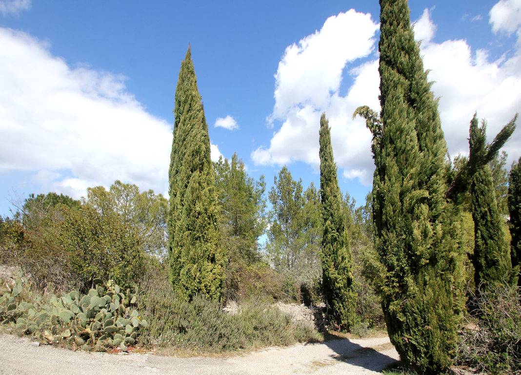 Les Falabregas, Sud Ardèche, avec piscine - Suite de 2 chambres in Chauzon, Ardèche